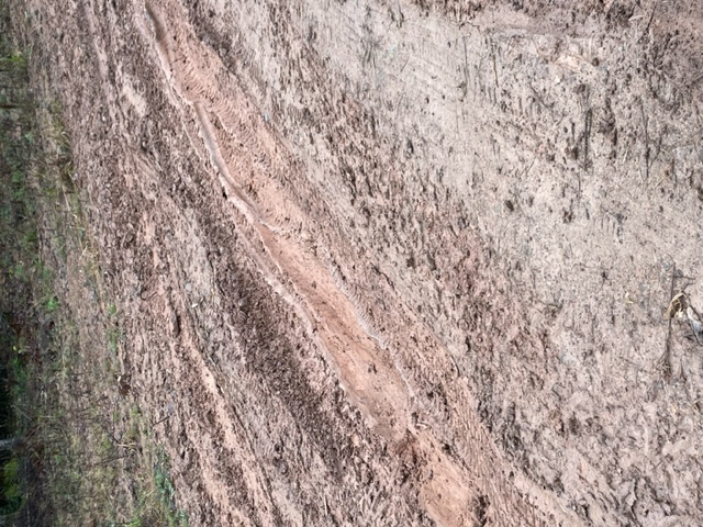 Bad spot where the farmer turns his tractor up to the corn field.